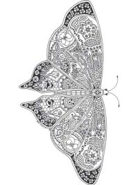 borboleta-adultos-imprima-e-pinte-2022-001