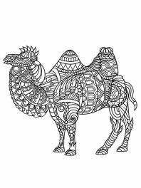 camelo-adultos-imprima-e-pinte-2022-001