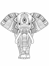 elefante-adultos-imprima-e-pinte-2022-004