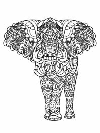 elefante-adultos-imprima-e-pinte-2022-005