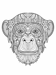 macaco-adultos-imprima-e-pinte-2022-001