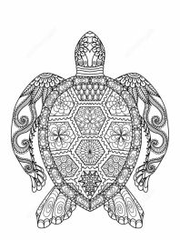 tartaruga-adultos-imprima-e-pinte-2022-001