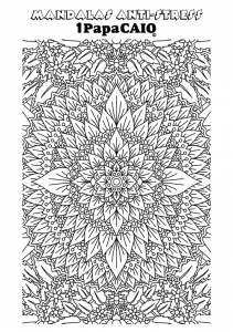 mandala-retangular-024