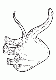 apatosaurus002