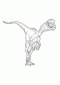 oviraptor001