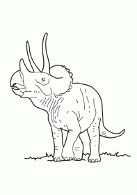 triceratops002