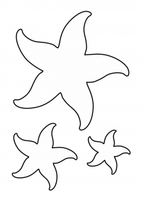 estrelas-do-mar