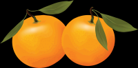 laranjas-001
