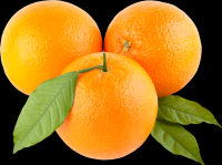 laranjas-004