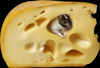 queijo-com-rato-22-001