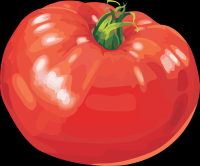 tomate-002a