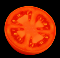 tomate-rodela-001