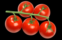 tomates-001