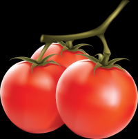 tomates-003