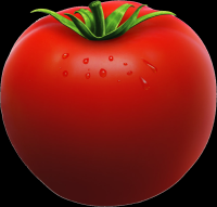 tomates-010