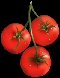 tomates-011
