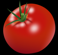 tomates-012