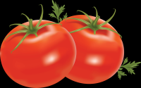 tomates-013