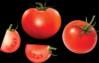 tomates-015