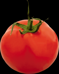 tomates-realistas-001