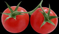 tomates-realistas-003
