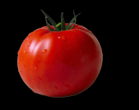 tomates-realistas-004