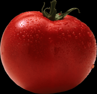 tomates-realistas-006