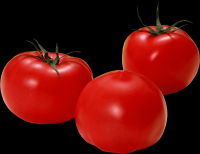 tomates-realistas-007