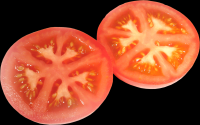 tomates-realistas-008