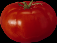 tomates-realistas-010