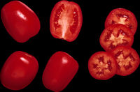 tomates-realistas-012