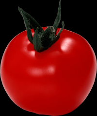 tomates-realistas-013