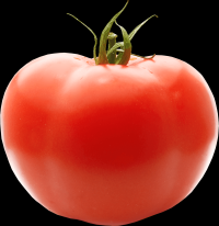 tomates-realistas-014