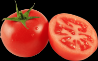 tomates-realistas-021