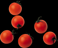 tomates-realistas-032