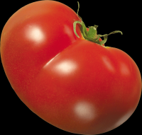tomates-realistas-033