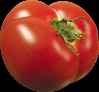 tomates-realistas-034
