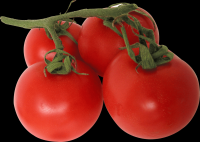 tomates-realistas-cachos-006b