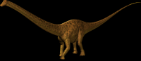Diplodocus-22-001