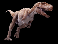 Megalosaurus-22-001