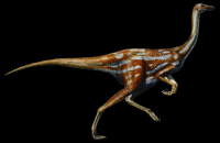 Ornithomimus-22-001