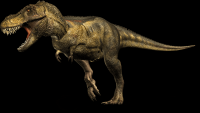 Tyrannosauro-22-001