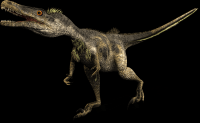 Velociraptor-22-002