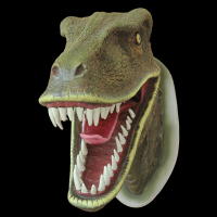 Velociraptor-cabeca-22-002