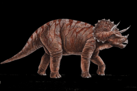 dinossauro-22-004