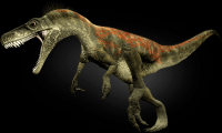 dinossauro-22-015