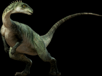 dinossauro-22-020