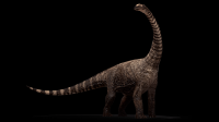 rhohetosaurus-22-001