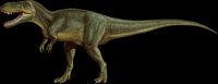 torvosaurus-22-001