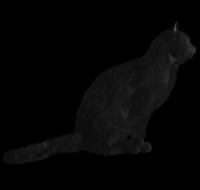 gato-preto-png-transparente-003